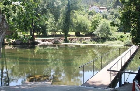 Casa Sandra - Carlota Apartment Lousa (Coimbra)