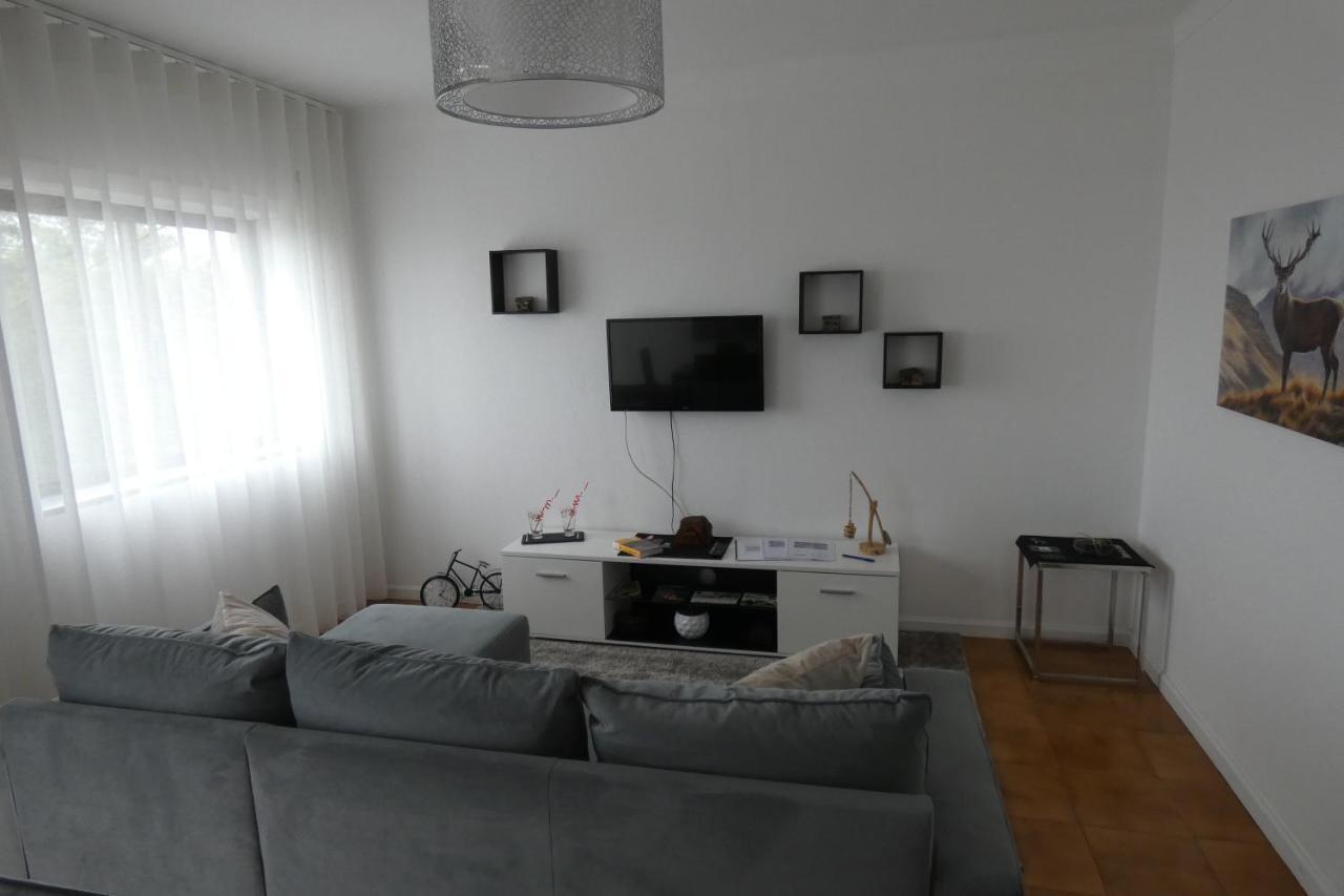 Casa Sandra - Carlota * Lousa (Central Portugal)