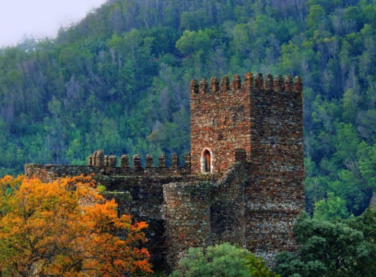 Casa Sandra - Carlota *